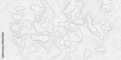 Abstract Terrain Relief Pattern with Detailed Topography Lines and Soft Layered Wave Composition
Modern Minimal Landscape Background Featuring Geographic Elevation Mapping Style