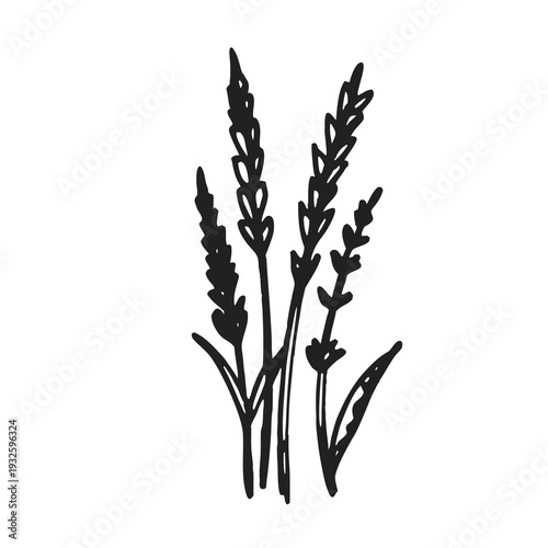 Wheat Plant Silhouette Agricultural Crop Illustration