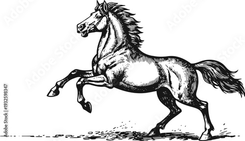 Powerful horse rearing up with flowing mane and tail in dynamic motion illustration