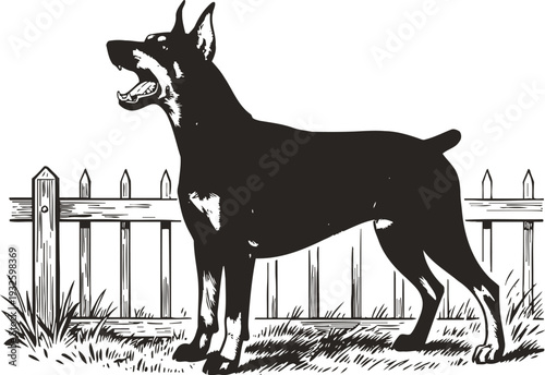 alert doberman dog standing and barking in front of wooden fence outdoors
