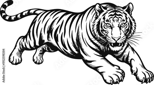 Black and white illustration of a fierce tiger pouncing forward in mid air, detailed wildlife drawing