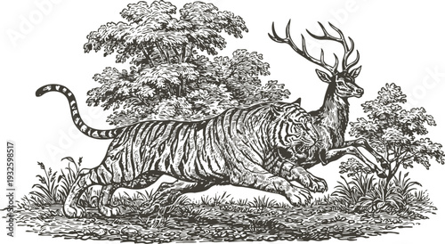 Tiger chasing deer in forest scene vintage wildlife illustration with detailed trees and plants