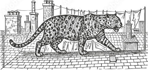 Jaguar walking on urban rooftop with chimneys and hanging laundry in black ink sketch