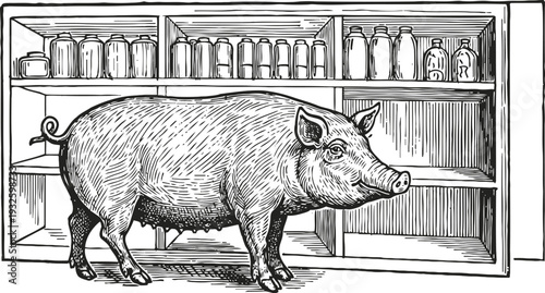 Illustration of a pig standing inside a pantry with shelves filled with jars and bottles