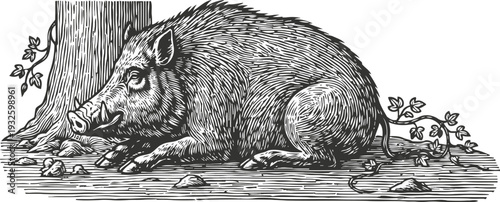 Wild boar resting by tree trunk in detailed vintage engraving black and white illustration