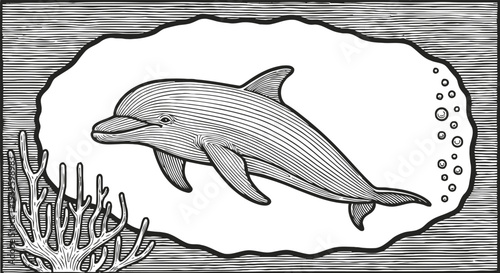 dolphin swimming underwater near coral reef in vintage black and white