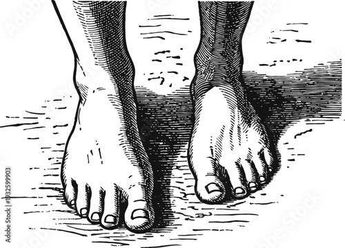 vintage hand drawn illustration of human feet standing on textured ground