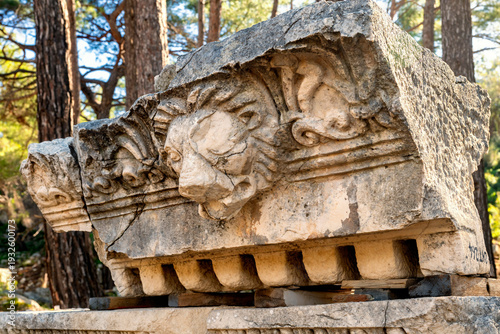 Phaselis ruined building with a tree growing through it near the coast.  Phaselis antic archeologic site in Turkey Kemer Antalya.The ancient site of Phaselis lies 58 km south of Antalya on an isthmus 