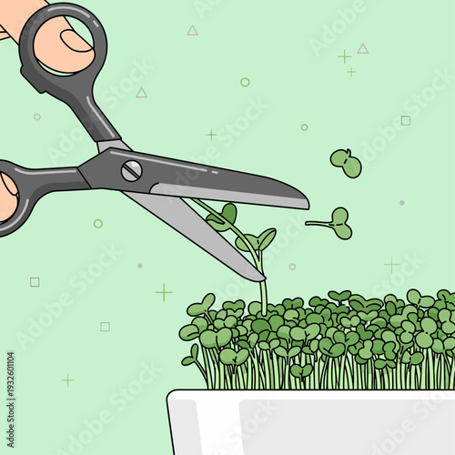 Flat Vector Illustration of Scissors Trimming Fresh Microgreens