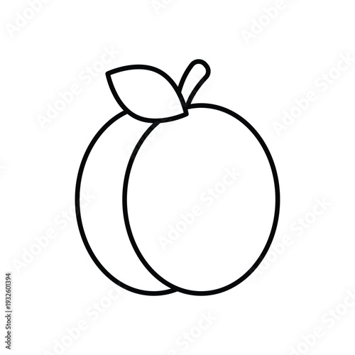 Apricot vector icon