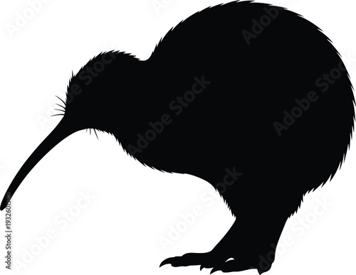 Silhouette of a Kiwi Bird Standing on White Background.