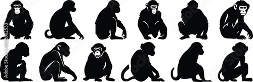 Chimpanzee silhouettes set, monkey sitting and crouching poses isolated on white background vector illustration collection