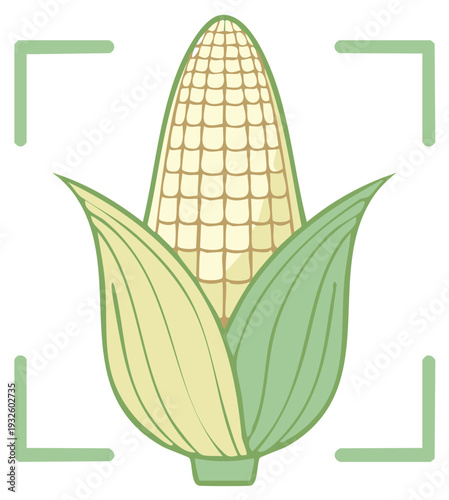 Simple cartoon illustration of a corn on the cob with focus frame symbol for agriculture