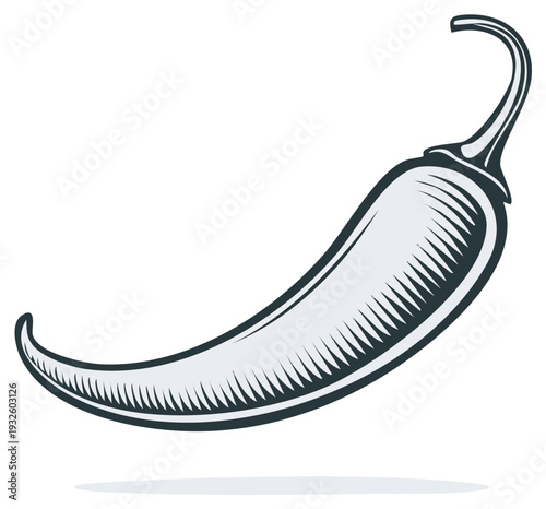 Chili Pepper Graphic Illustration Single Vegetable Food Ingredient Spice Drawing