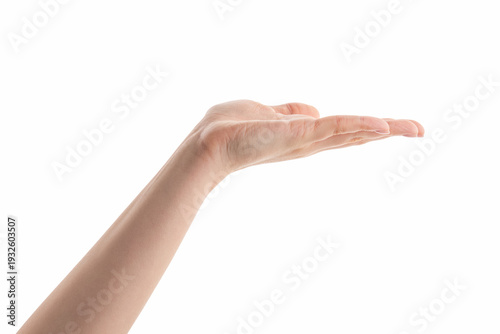 Tableau sur toile Young woman hand hold something with flat palm isolated on white