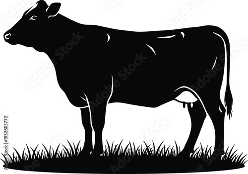 Black silhouette of a dairy cow standing in grass field pasture isolated on white background for organic farm logo meat shop and butchery