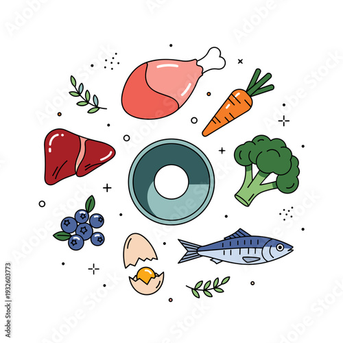 Deconstructed Raw Dog Food BARF Diet Vector Illustration