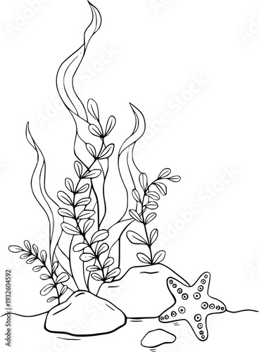 Coloring of Sea Pebbles with marine shell, bottom pebble, seaweed algae, star. Hand drawn outline illustration. Marine, tropical composition for souvenir, posters, sticker, printing, banner.