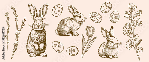 Easter hand drawn set with bunny, spring flowers and eggs. Vintage engraved drawings collection.