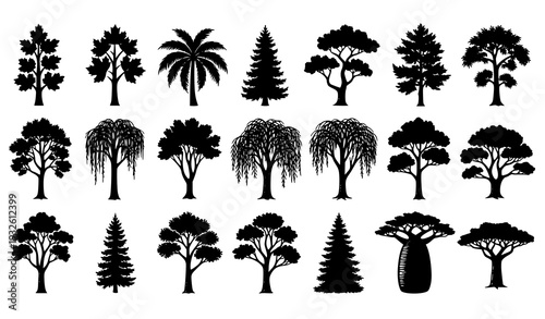 Diverse Tree Silhouettes Vector Collection Forest and Garden Trees Isolated on White Background