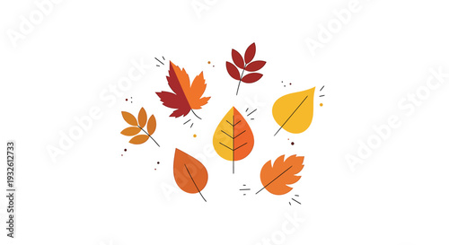Set of 8 autumn leaves vector icons