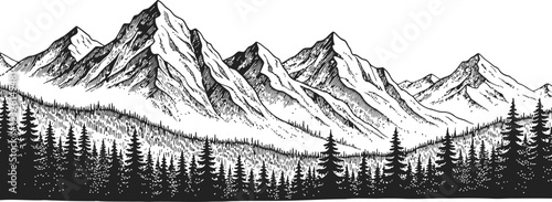 Mountain Range with Pine Forest Detailed Sketch
