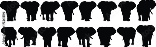 Elephant silhouettes set, African wildlife herd isolated on white background vector illustration collection