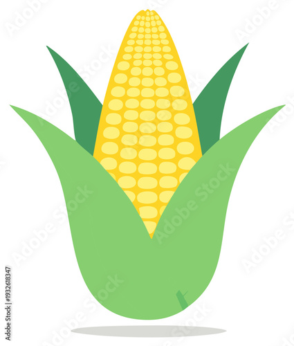 Fresh yellow corn cob with green husks, a bright and vibrant vector illustration of agricultural produce