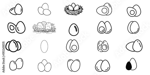 Fresh Egg Icon Set with Chicken Eggs in Nest Halved Boiled Eggs and Raw Egg Shells for Breakfast Cafe