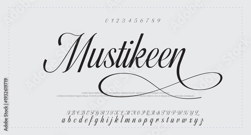 Script Brush Font Type Font lettering handwritten. vector illustration 