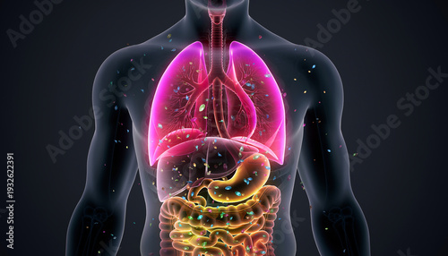 3D Medical Illustration Showing Microplastics in Digestive System