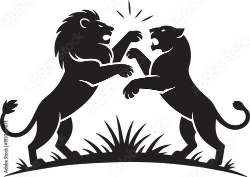 Lion and lioness fighting silhouette vector illustration for power and wildlife concepts