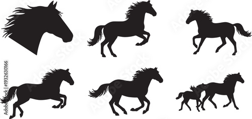 Black Horse Silhouettes Running Galloping Isolated