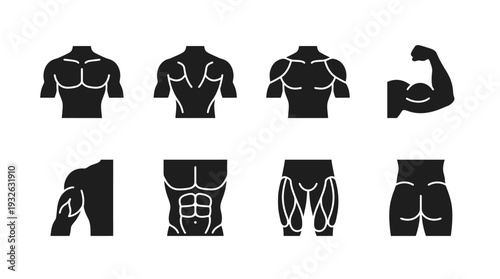 Human Muscular System Vector Silhouette Icon Set Featuring Eight Major Muscle Groups Including Chest, Back, Arms, Abs, Legs, and Glutes for Fitness and Educational Design Use