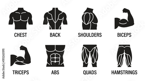 Human Muscular System Vector Silhouette Icon Set Featuring Eight Major Muscle Groups Including Chest, Back, Arms, Abs, Legs, and Glutes for Fitness and Educational Design Use