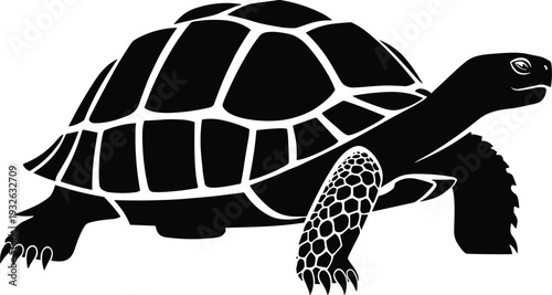 Tortoise Silhouette Illustration in Black Vector Style Featuring Detailed Shell Pattern Isolated on White Background for Wildlife, Nature and Animal Design