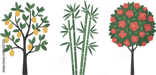 Cartoon Trees Including Fruit Tree, Bamboo, and Hibiscus Flower Tree, Flat Vector Illustration for Garden and Botanical Landscape Concepts