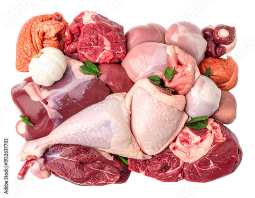 Assorted raw meat cuts arranged together with herbs