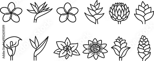 Collection of tropical and exotic flower line art icons on a white background