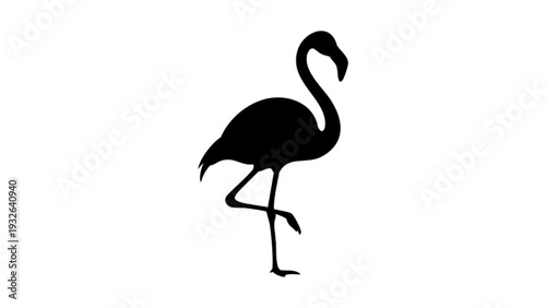 Elegant Flamingo Bird Standing Silhouette