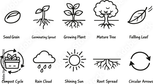 Plant life cycle icons showing growth stages from seed to mature tree and natural elements