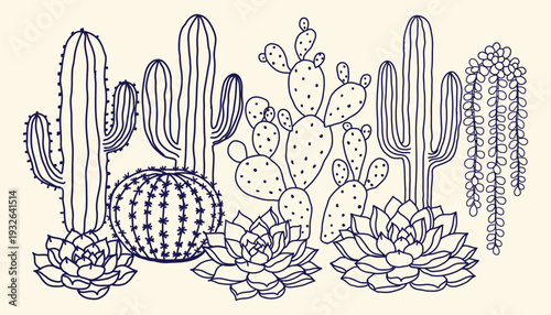 Collection of various cactus and succulent plants in a line drawing style