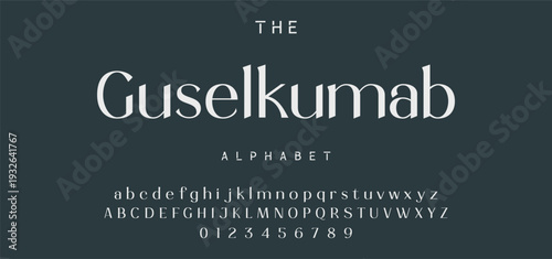 Elegant ligature alphabet letters font logo. Typography luxury classic lettering serif fonts decorative wedding vintage retro logos, design for fashion,beauty shop and brand . vector illustration