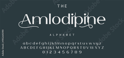 Elegant Font Uppercase Lowercase and Number. Classic Lettering Minimal Fashion Designs. Typography modern serif fonts regular decorative vintage concept. vector illustration