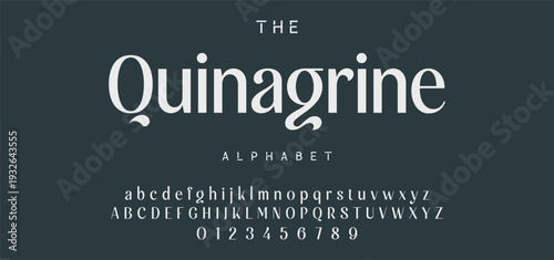 Elegant Font Uppercase Lowercase and Number. Classic Lettering Minimal Fashion Designs. Typography modern serif fonts regular decorative vintage concept. vector illustration