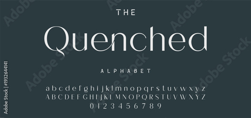 Elegant Font Uppercase Lowercase and Number. Classic Lettering Minimal Fashion Designs. Typography modern serif fonts regular decorative vintage concept. vector illustration