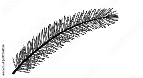 Detailed black and white drawing of a single pine needle branch captures the intricate texture and structure of evergreen foliage.