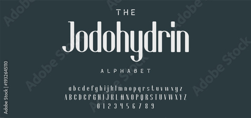 Elegant Font Uppercase Lowercase and Number. Classic Lettering Minimal Fashion Designs. Typography modern serif fonts regular decorative vintage concept. vector illustration