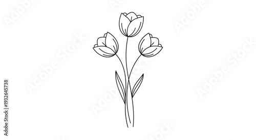 Minimalist line art drawing of three elegant tulips on long stems grouped together in a simple and balanced botanical composition.
