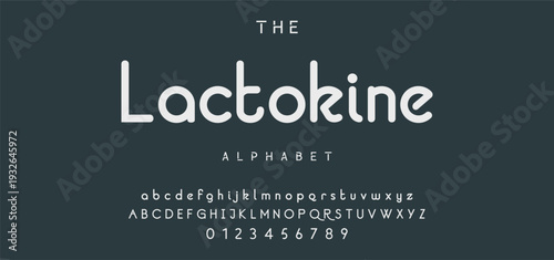 Elegant Font Uppercase Lowercase and Number. Classic Lettering Minimal Fashion Designs. Typography modern serif fonts regular decorative vintage concept. vector illustration